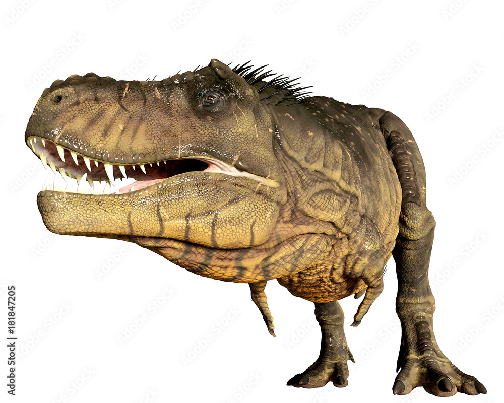 Obraz premium t-rex on the nature