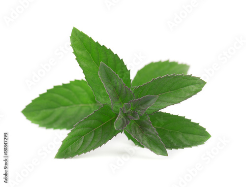 Fresh peppermint isolated on a white background. Close-up