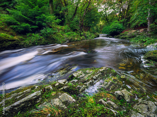 Fototapeta Naklejka Na Ścianę i Meble -  Mountain stream in green forest at Autumn time