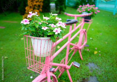 Flowers basket in vintage bicycle