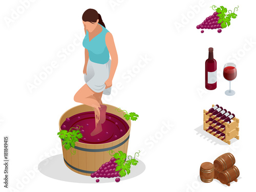 Isometric wine production icons collection. Girl crushes grapes for making wine. Wine festival. Vector illustration isolated on white background