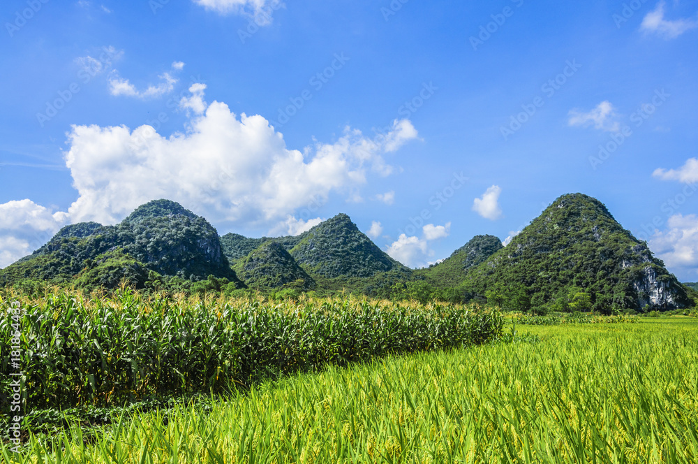 Fototapeta premium The beautiful countryside scenery in summer 