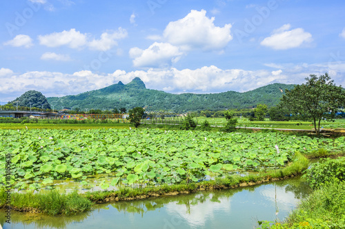 The beautiful countryside scenery in summer