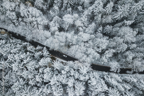 Aerial view of a road passing through snow covered forest