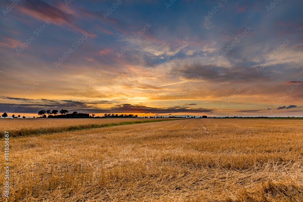 Spectacular sunset over stubble field