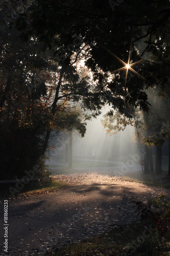 Schilderij op canvas soft light