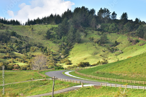 Farmland on hills around Puhoi village on North Island in New Zealand. photo