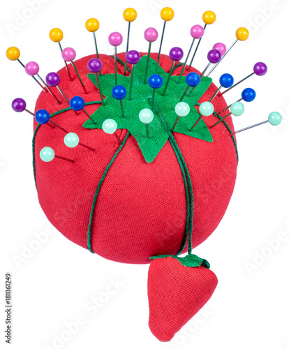 Photography Pincushion, Pins