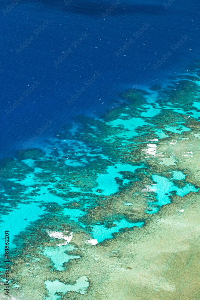 the great reef from the high the great reef from the high
