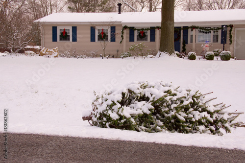 After Christmas Tree by the Curb in Front of House