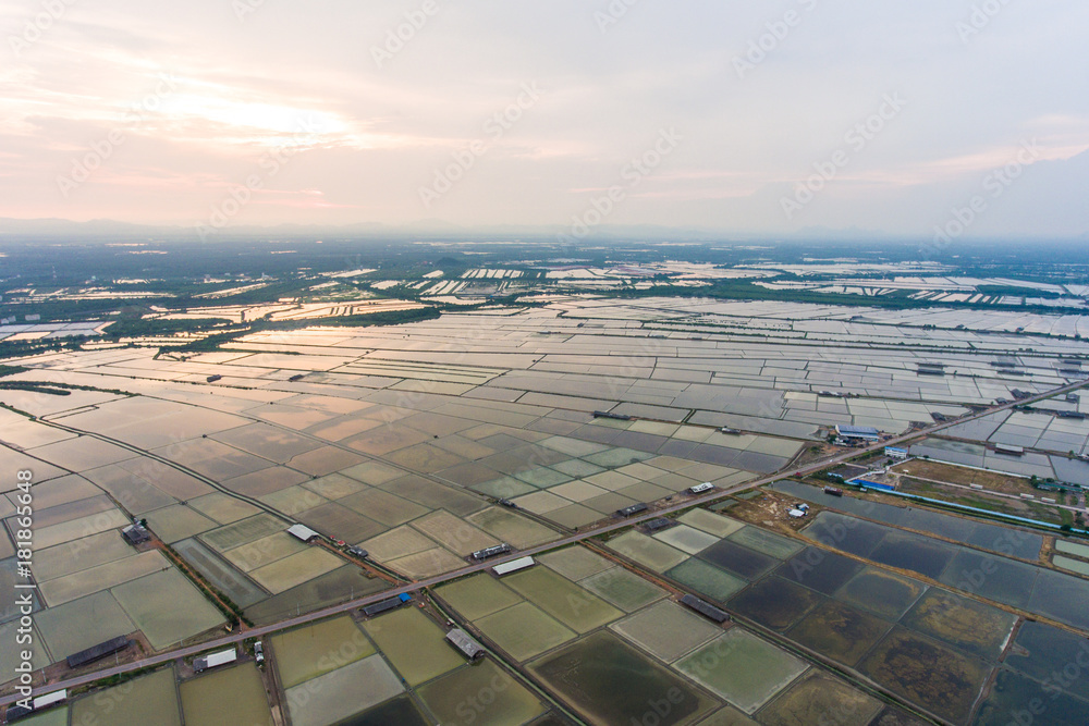 Aerial view of salts farm in Thailand