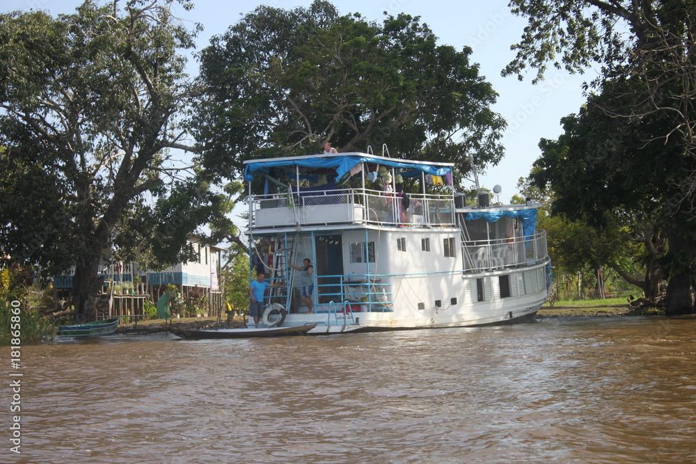 Fototapeta premium Amazon River and tributaries