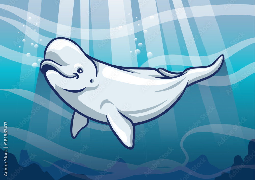 Fototapeta premium Beluga Whale in the ocean