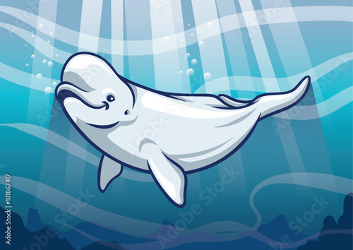 Fototapeta Beluga Whale in the ocean