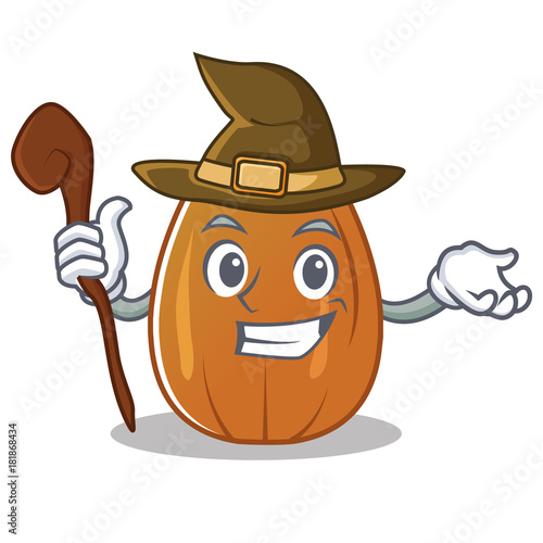 Witch almond nut character cartoon