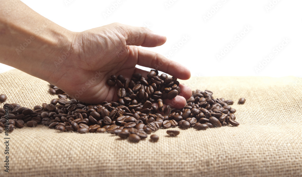 woman hands holding handful of roasted coffee beans woman hands holding handful of roasted coffee beans