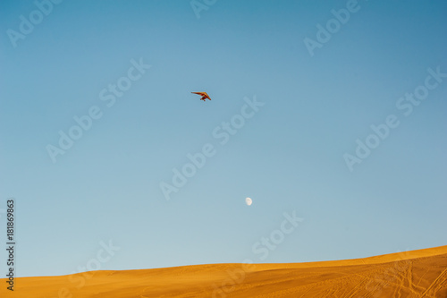 A soaring aeroplane is over the sand dunes under the dusk