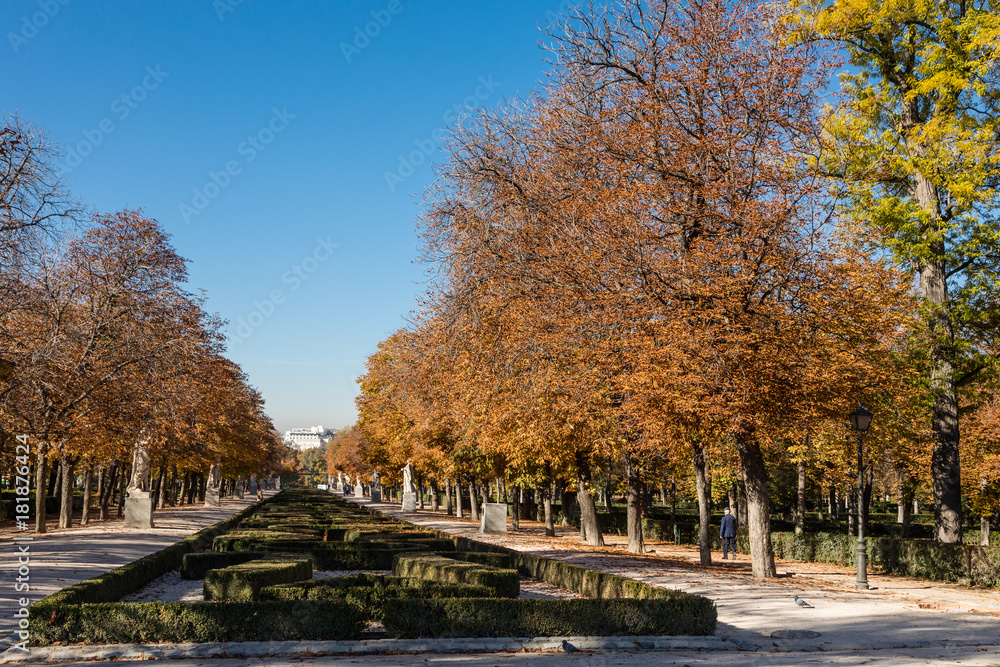 Autumn landscapes in the Retiro Park in Madrid Autumn landscapes in the Retiro Park in Madrid