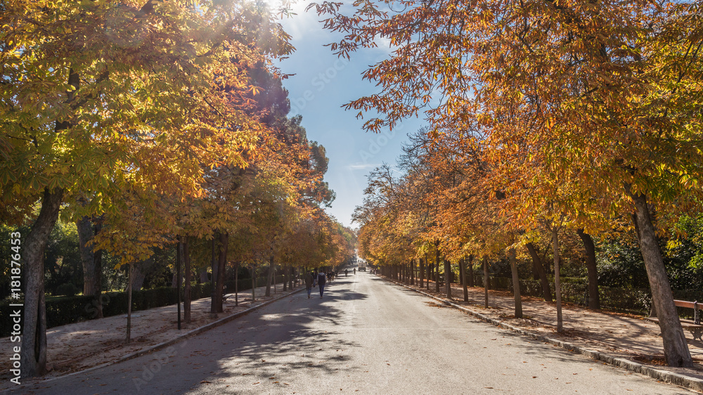 Autumn landscapes in the Retiro Park in Madrid