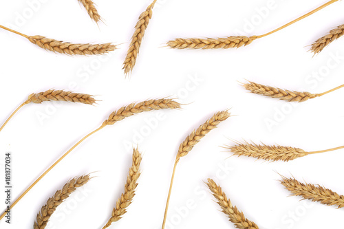 ears of wheat isolated on white background. Top view. Flat lay pattern