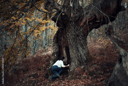 Interpretación del cuento "Alicia en el país de las maravillas" en la actualidad. Mujer joven adentrándose en el hueco de un castaño centenario en medio del bosque.