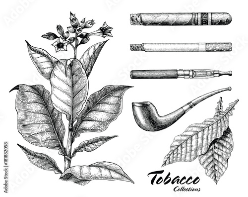 Tobacco collection hand drawing vintage style photo