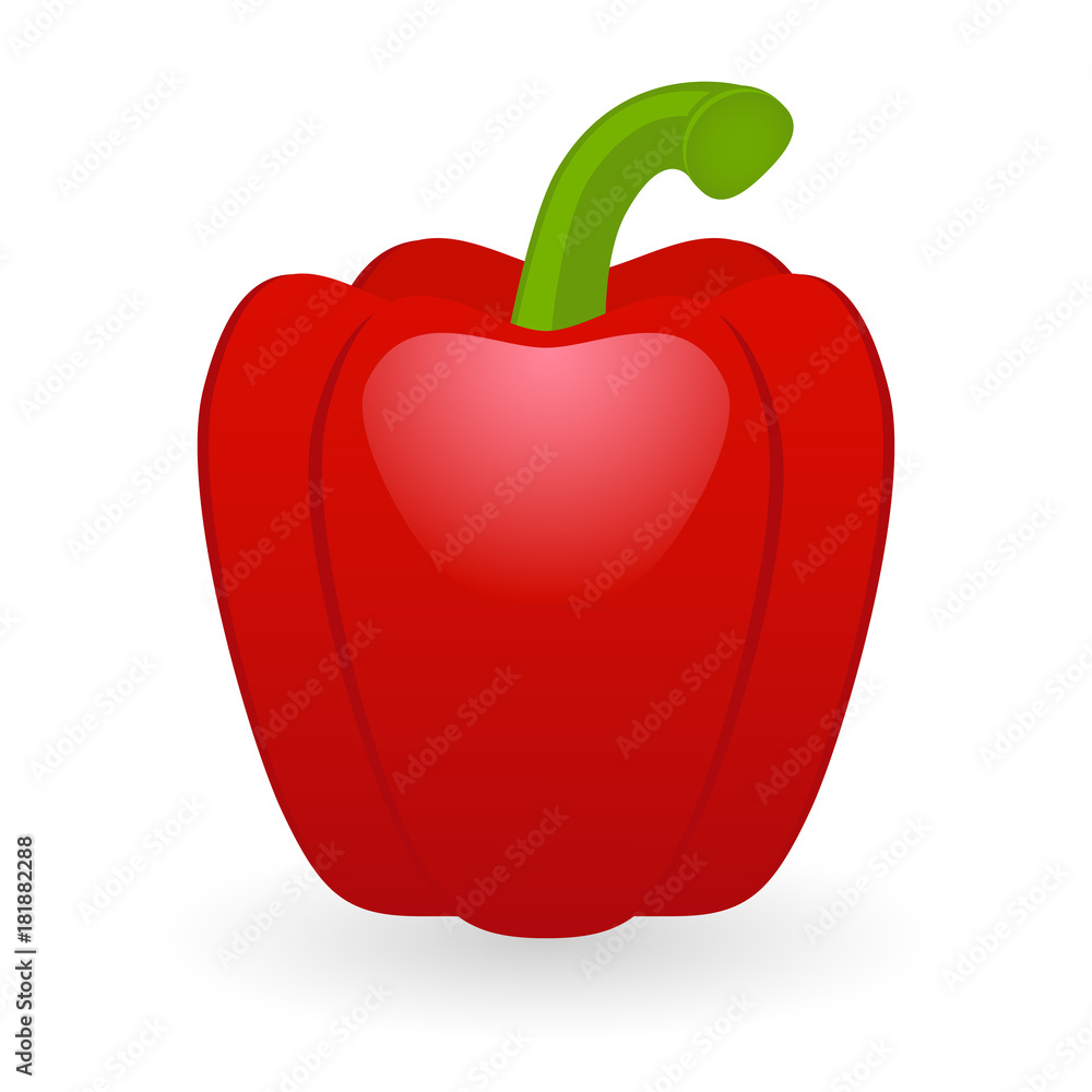 Vector illustration of bell pepper isolated on white background Vector illustration of bell pepper isolated on white background