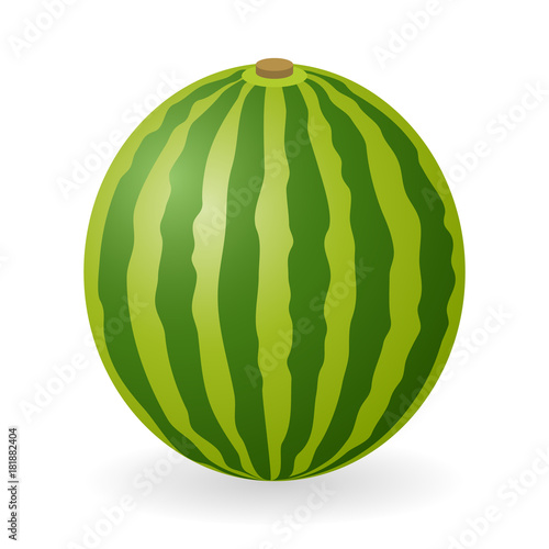 Vector illustration of watermelon isolated on white background