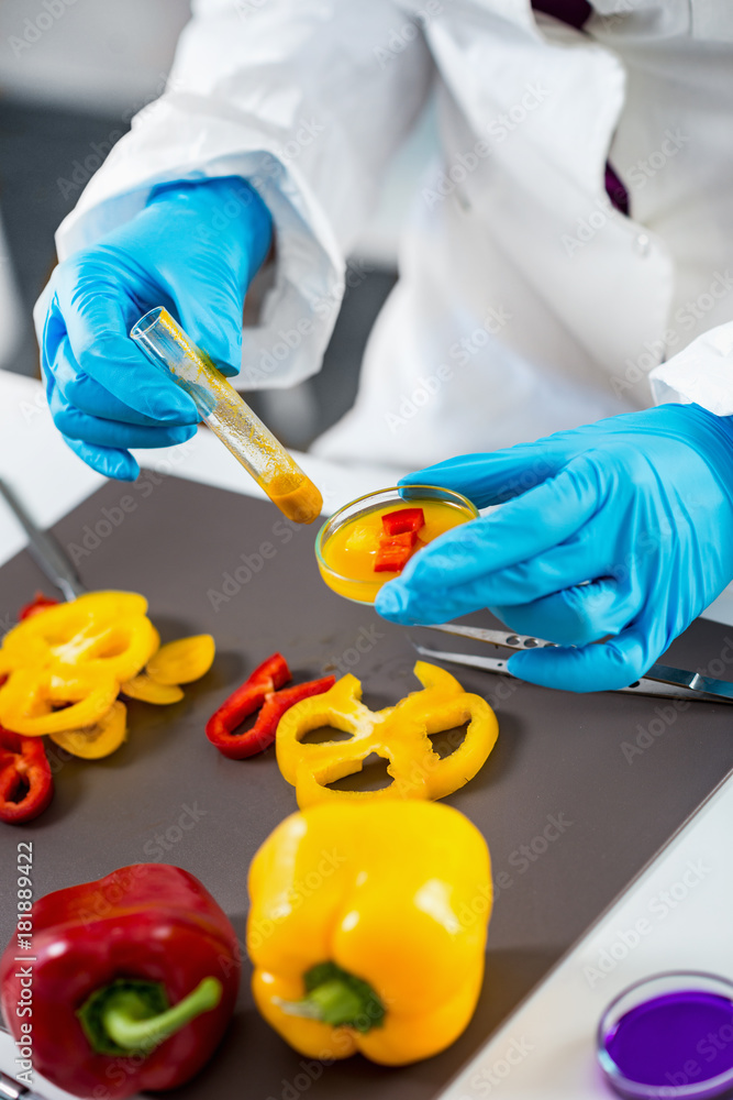 Food safety, vegetables Food safety, vegetables