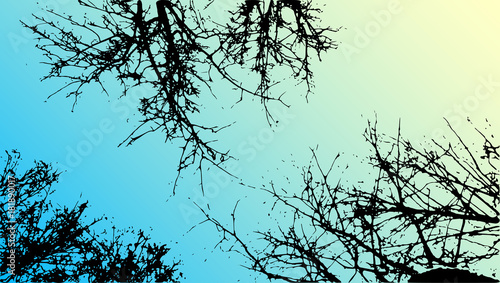 Vector grass and tree landscape silhouette. Realistic tree folliage silhouettes in night and evening sky. Outdoor nature scene, view at tree and night sky from below