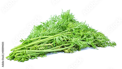 Carrot leaves isolated on white background