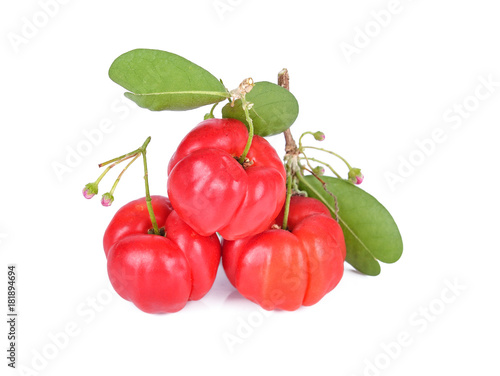 Barbados cherry, Malpighia emarginata, from central of Thailand