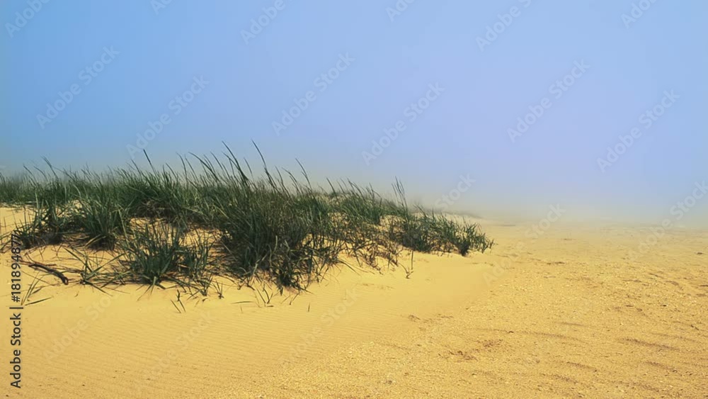 The beach in fog and dunes. The beach in fog and dunes.