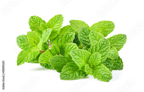 Mint leaf close up on a white background