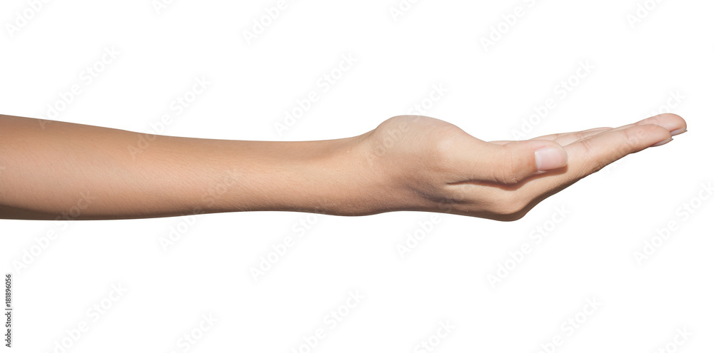 woman hand isolate with clipping path