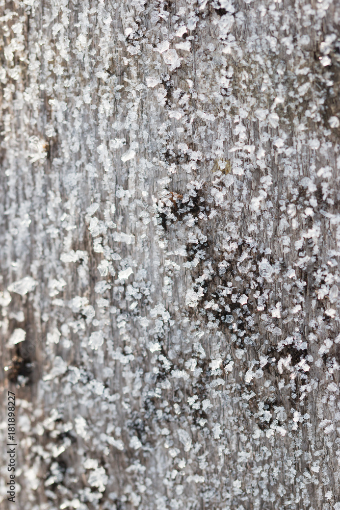 ice cubes as background ice cubes as background
