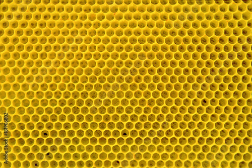 Yellow honeycomb background.