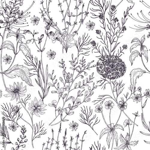 Antique floral seamless pattern with wild flowers, flowering herbs and herbaceous plants hand drawn in black and white colors with contour lines. Monochrome vector illustration in vintage style.