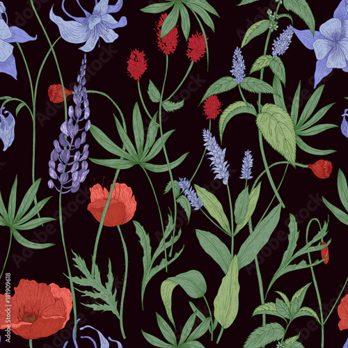 Elegant botanical seamless pattern with wild flowers and herbs on black background - field poppies, lupine, great burnet, granny s bonnet, peppermint. Floral vector illustration in antique style.