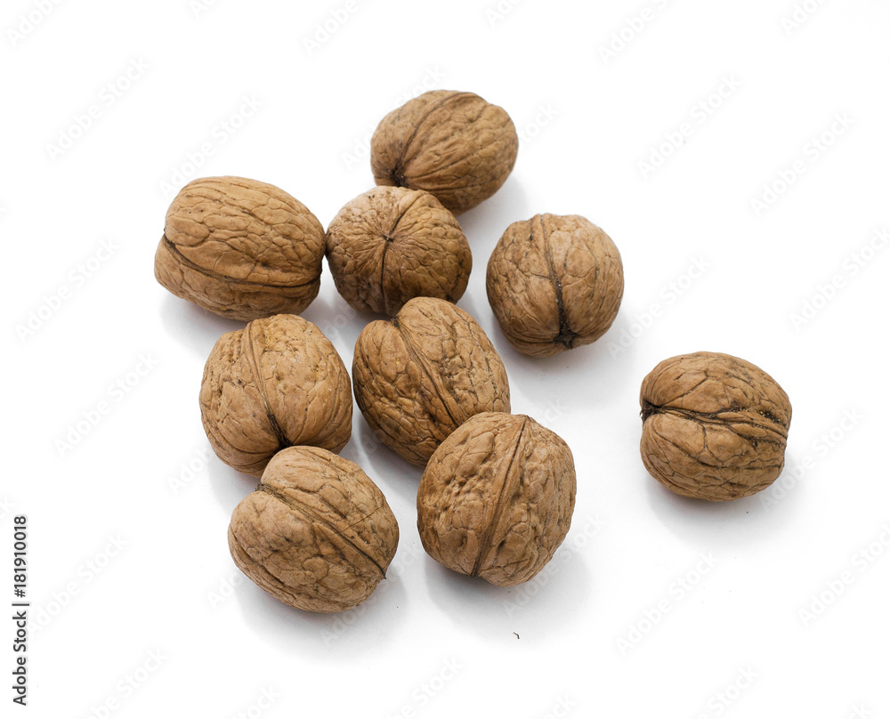 several walnuts in shell on white background several walnuts in shell on white background