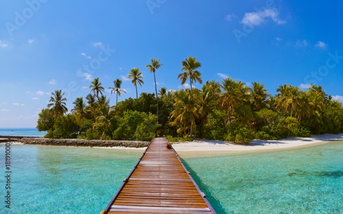 Tropical Maldives island © Nikolai Sorokin