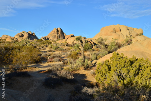 A Rocky Landscape at the Joshua tree national park.