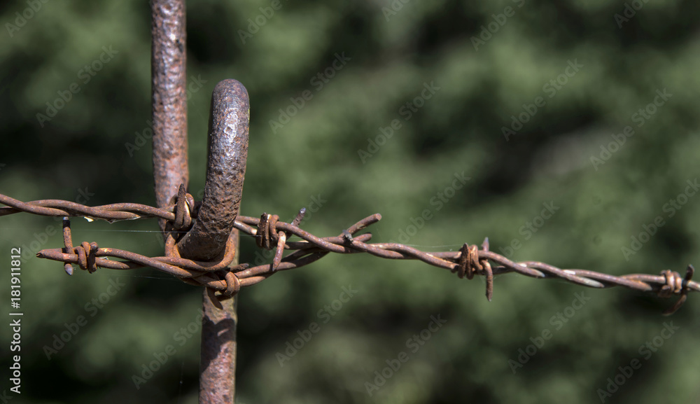 Champ de bataille de Lingekopf à Orbey, Haut-Rhin, France