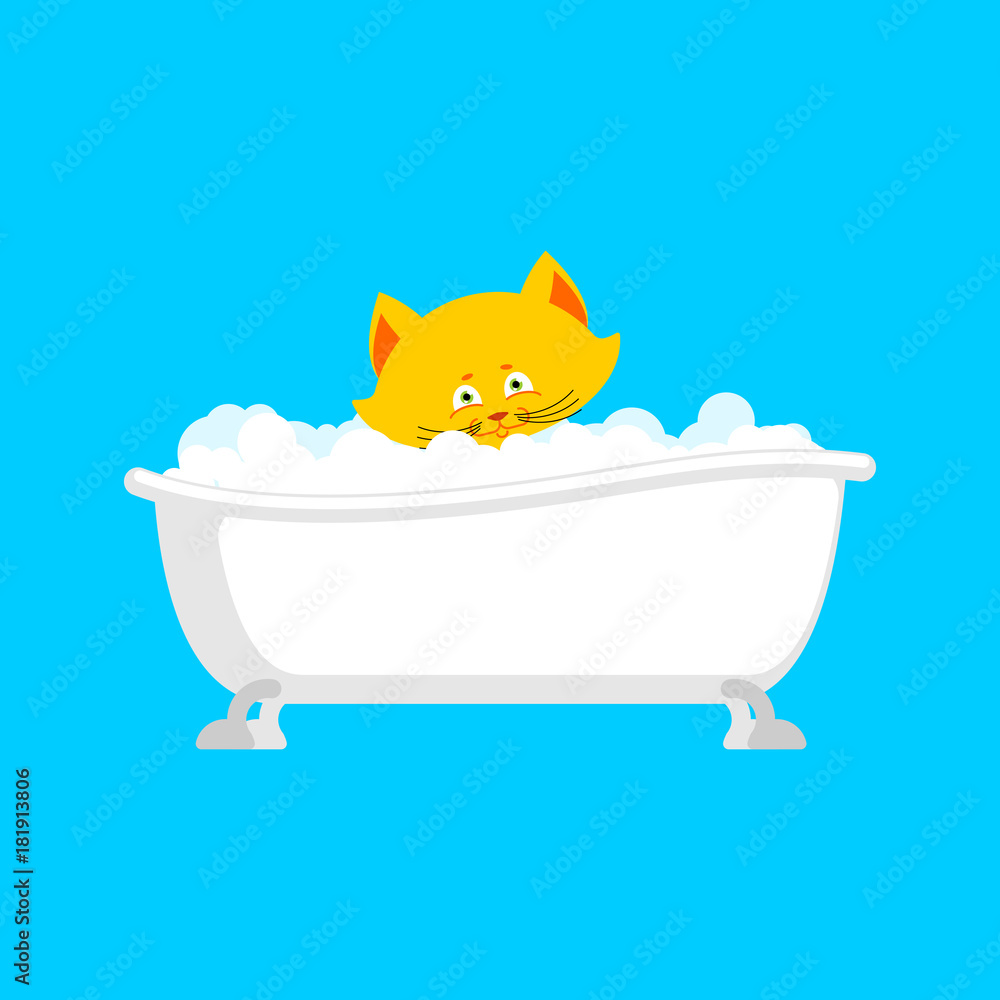 Obraz Cat in bath. Pet is washed. Vector illustration