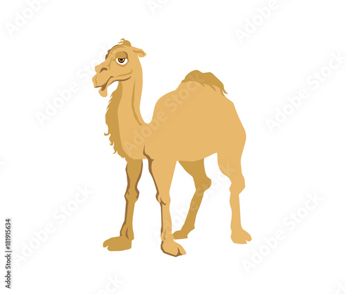 Cartoon Camel