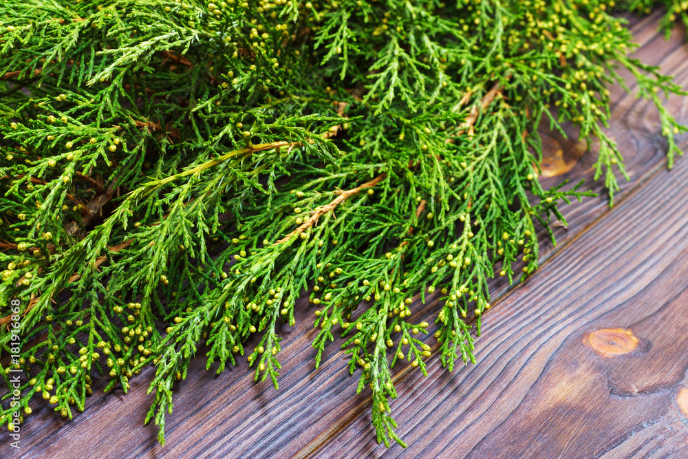 Thuja twigs on wooden background with snow and bokeh, copy space Thuja twigs on wooden background with snow and bokeh, copy space