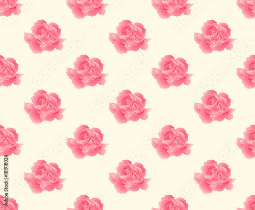 Pink Carnation Seamless on Beige Ivory Background