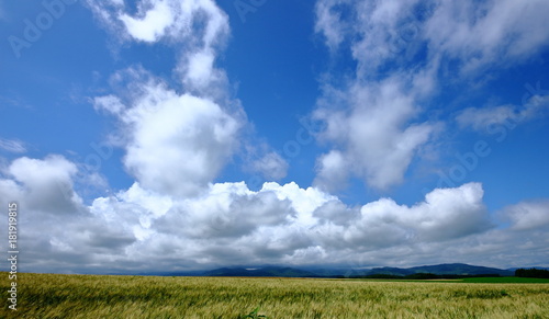 Scenery of Biei Hokkaido
