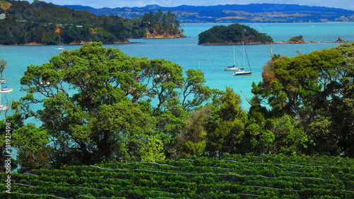 Waiheke Island