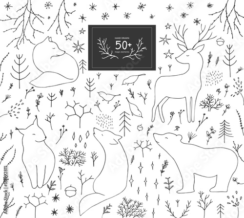 Christmas forest hand drawn elements.